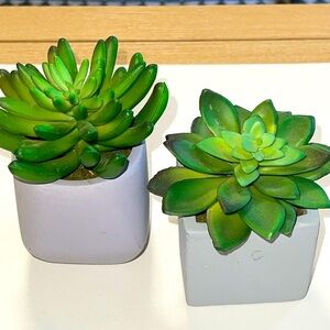 2- so succulents and a geometric and square cement pots